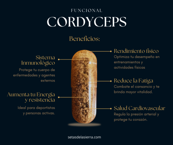 Cordyceps