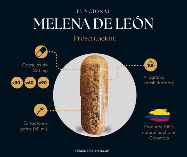 Melena de León - Imagen 2