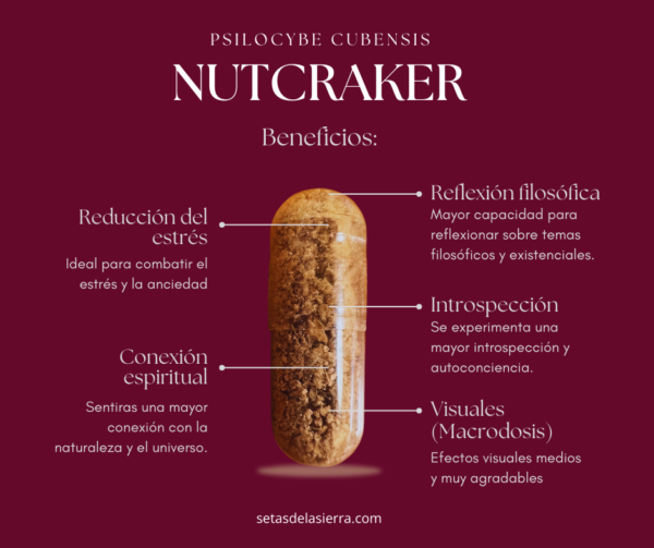 Nutcracker